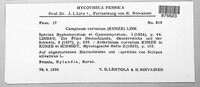 Physalospora scirpi image